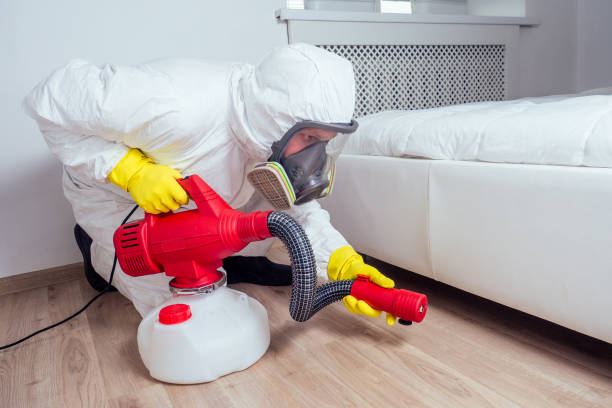 Best Affordable Pest Control Services  in Forestville, MD