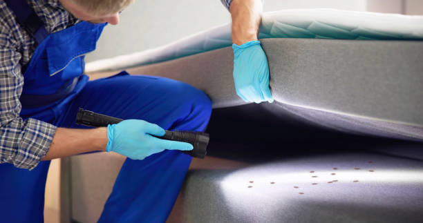 Best Pest Prevention Services  in Forestville, MD