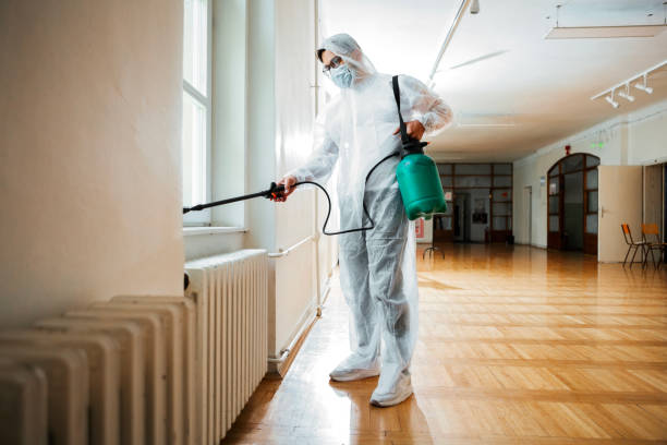 Best Best Pest Control Companies  in Forestville, MD