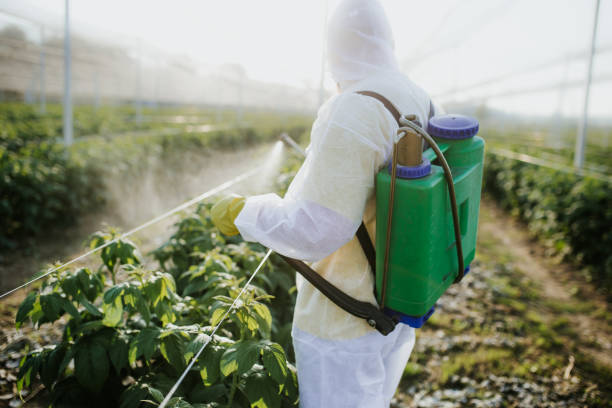 Best Commercial Pest Control Services  in Forestville, MD
